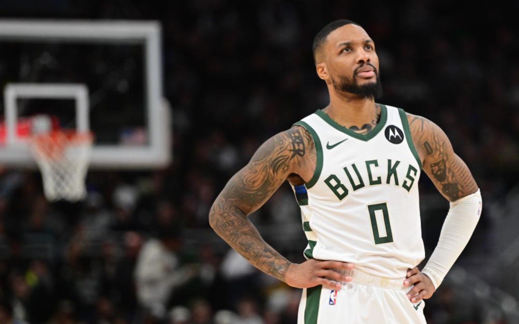 擎收录和排 擎收录和排